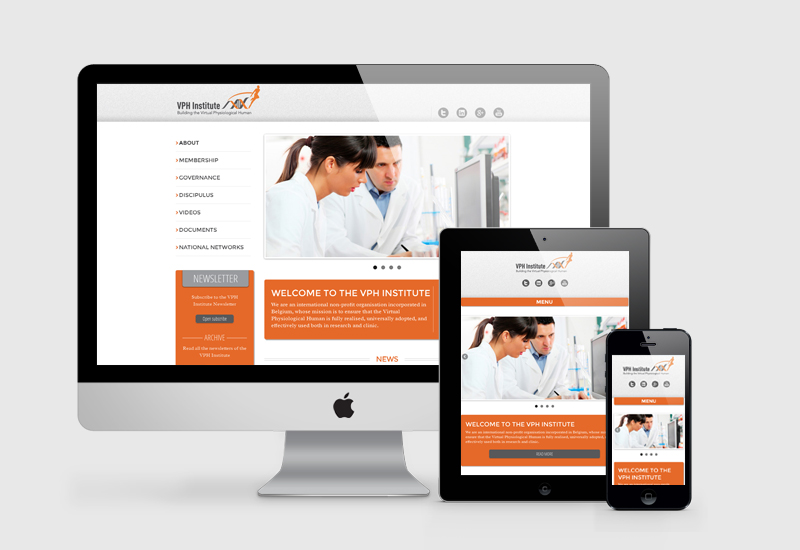vph-institute.org