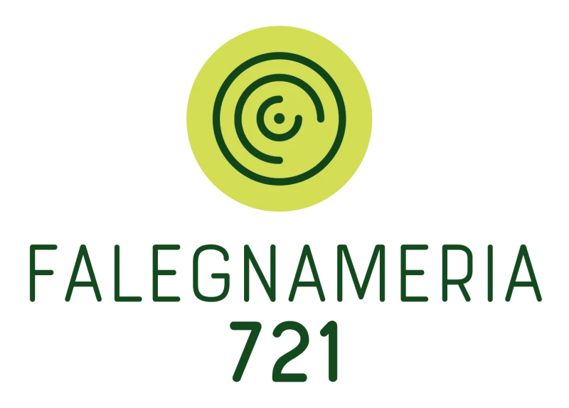 logo falegnameria 721_Tavola disegno 1